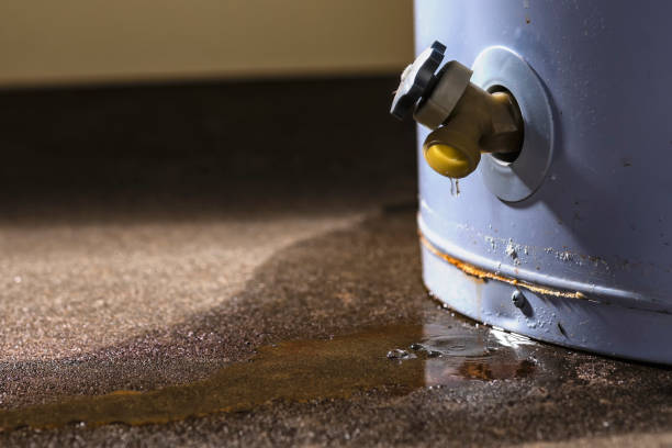 Best Carpet water damage restoration  in Cutler Bay, FL