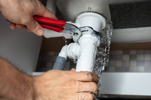 Best Mold removal after water damage  in Cutler Bay, FL