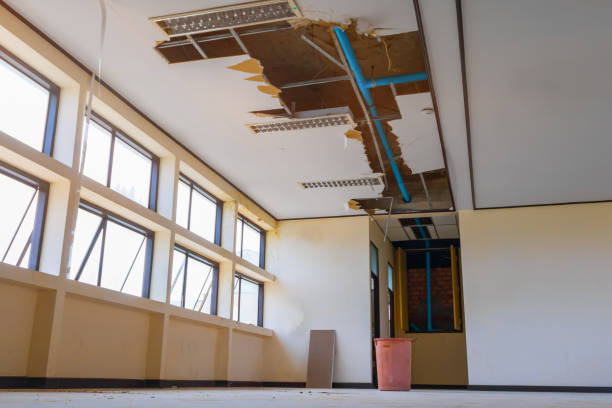 Best Flooded house restoration  in Cutler Bay, FL