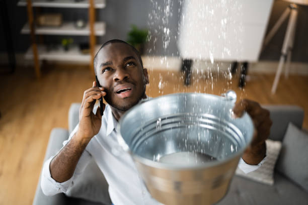 Best Water damage restoration near me  in Cutler Bay, FL
