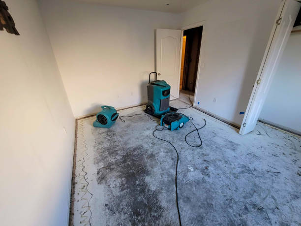 Best Ceiling water damage repair  in Cutler Bay, FL
