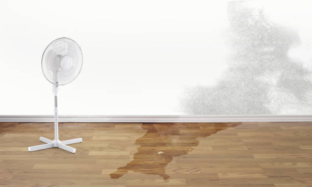 Best Residential water damage restoration  in Cutler Bay, FL
