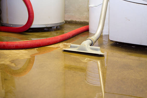 Best Ceiling water damage repair  in Cutler Bay, FL