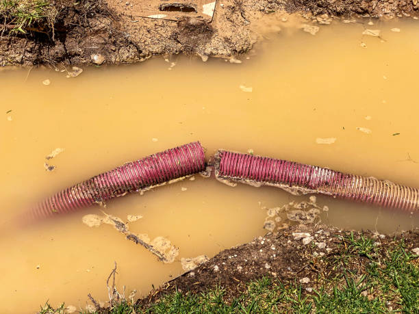 Best Flood restoration services  in Cutler Bay, FL