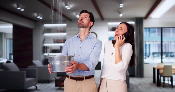 Best Basement water damage restoration  in Cutler Bay, FL