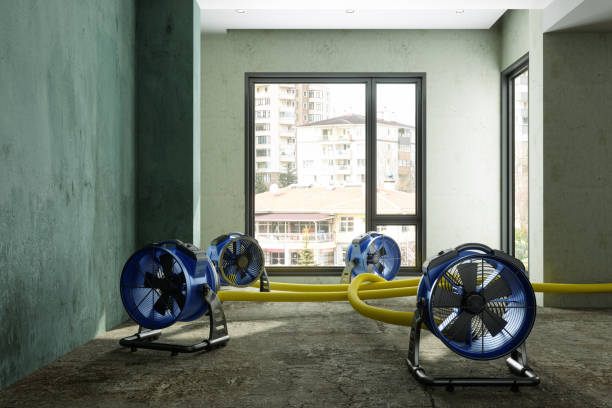 Best Flood damage cleanup  in Cutler Bay, FL
